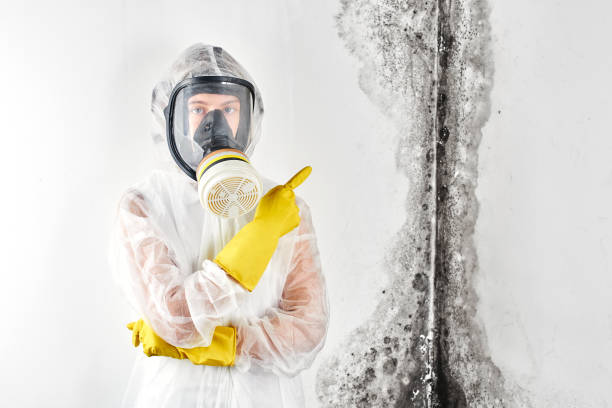 Trusted Capron, IL Mold Removal & Remediation Experts